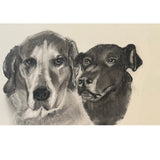 2025 16” x 20” Custom Pet Portrait