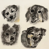 2025 16” x 20” Custom Pet Portrait