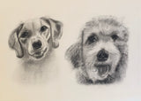 2025 16” x 20” Custom Pet Portrait