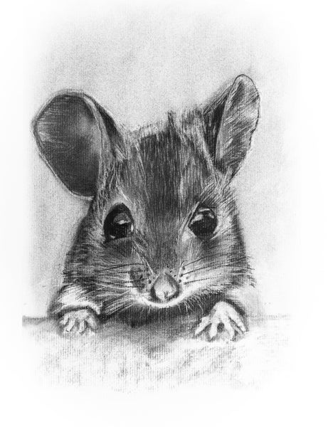 Little Grey Mouse Print