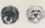 2025 16” x 20” Custom Pet Portrait