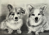 2025 16” x 20” Custom Pet Portrait