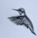 Hummingbird