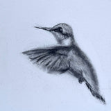 Hummingbird