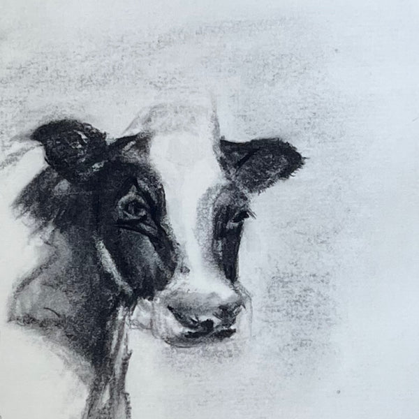 Moo