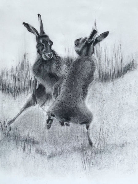 Boxing Hares