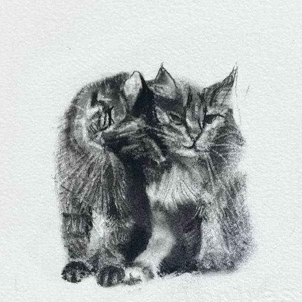 Cool Cats