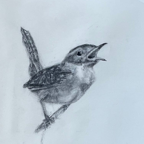 Wren