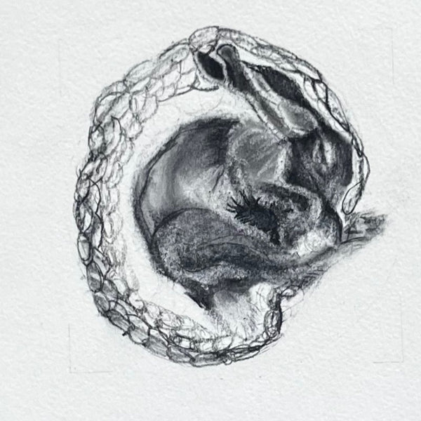 A Long Winter's Nap