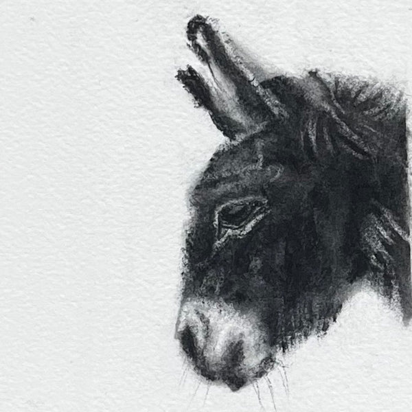 Donkey