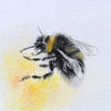 Bumble Bee