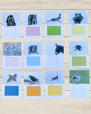 2026 Desktop Animal Art Calendar - benefiting Cape Ann Wildlife