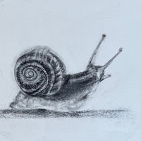 Snail