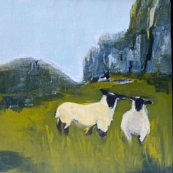 Roadside Sheep