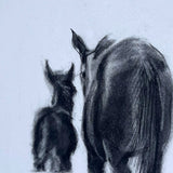 Mare & Foal