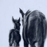 Mare & Foal