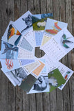 2027 Calendar benefitting Cape Ann Wildlife