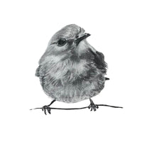 6 Bluebird What's Up Note Cards