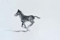 Full Speed Ahead
