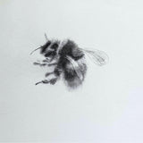 Bumble Bee Framed Giclee Print