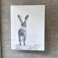 Onward Hare Card