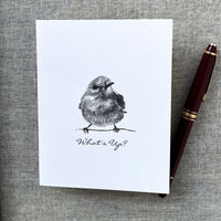 Bluebird What's Up Card