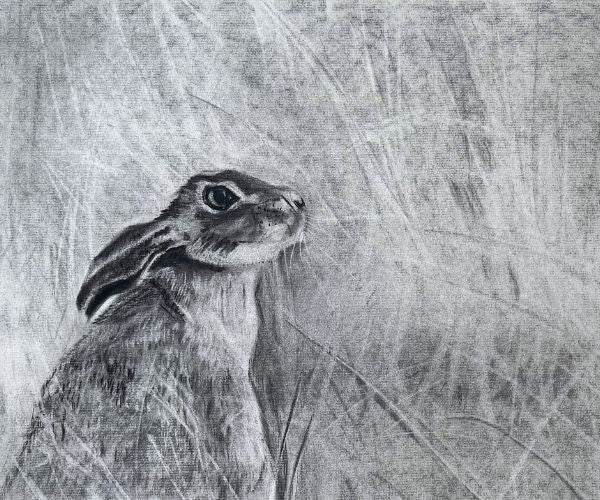 Flop Eared Hare