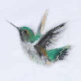 Hummingbird  Gold Framed Giclee Print