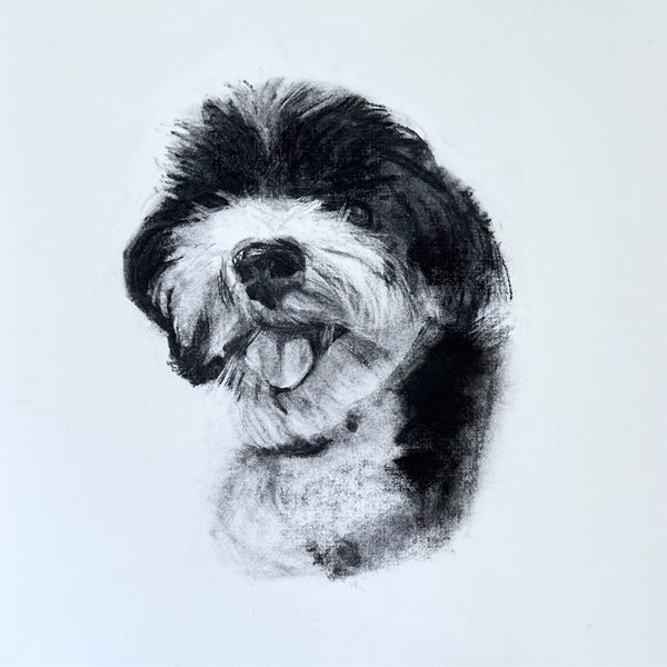 2024 11” x 14” Custom Pet Portrait