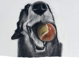 2026 Desktop Animal Art Calendar - benefiting Cape Ann Wildlife