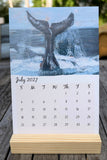 2027 Calendar benefitting Cape Ann Wildlife