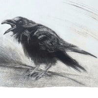 2026 Desktop Animal Art Calendar - benefiting Cape Ann Wildlife