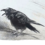2026 Desktop Animal Art Calendar - benefiting Cape Ann Wildlife