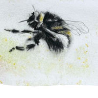 2026 Desktop Animal Art Calendar - benefiting Cape Ann Wildlife
