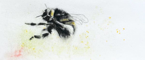 Bumble Bee