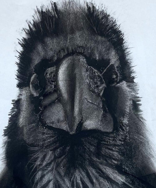 Raven