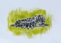 Caterpillar