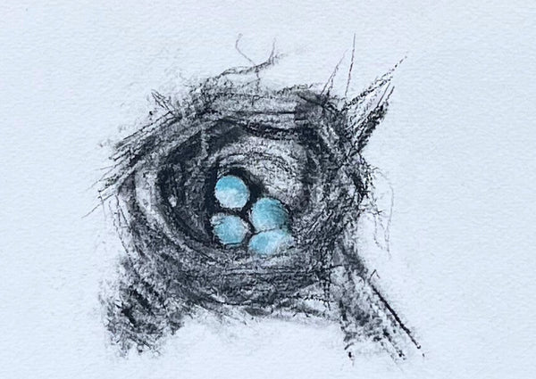 A full nest