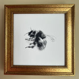 Bumble Bee Framed Giclee Print