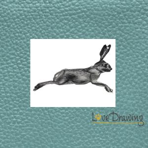 6 Racing Rabbit Note Cards