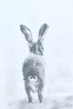 Onware Hare Giclee Print