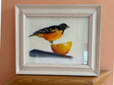 Oriole & Orange