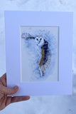 Owl in Flight Giclee
