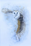 Owl in Flight Giclee