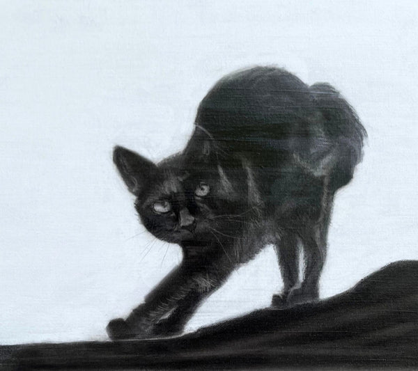 Black Cat stretching with arched back