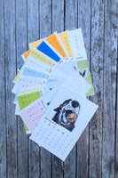 2026 Desktop Animal Art Calendar - benefiting Cape Ann Wildlife