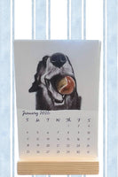 2026 Desktop Animal Art Calendar - benefiting Cape Ann Wildlife