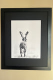 Onware Hare Giclee Print