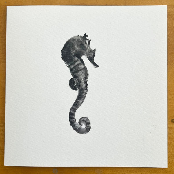 6 Seahorse Note Cards