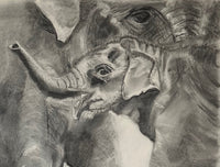 A charcoal drawing of two elephants, with one being a young elephant looking towards the viewer and the other, an adult, looking away. The artwork is signed and dated at the bottom.